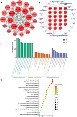 Effect of SiHuangQingXinWan on Klebsiella pneumoniae-induced pneumonia: mechanistic insights